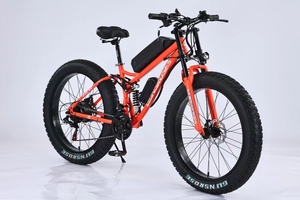 Vélo Électrique Tout-Terrain 26 Pouces 750W 48V à Pneus Larges, Moteur Puissant, 7 Vitesses, pour Ville et Descente, Vélo de Neige, Vente en Gros à Prix Abordable, Fournisseur d'Usine - Product Image 6