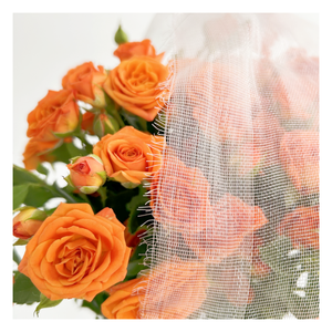 Filet anti-insectes en <span class=keywords><strong>plastique</strong></span> à mailles fines pour serre filet anti-moustiques filet de protection des cultures - Product Image 1