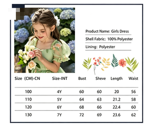 Mädchen Grünes Puffärmel-Prinzessinnenkleid Kinder Blumen-Stickerei Partykleid - Product Image 4