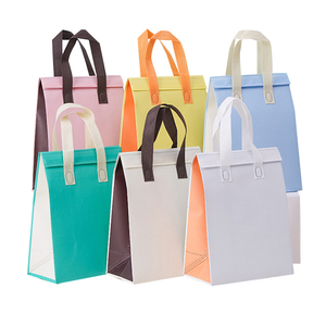 Bolsa Térmica Desechable de Aluminio para Llevar Café y Pasteles, con Aislamiento Térmico, Color Degradado, No Tejida - Product Image 6