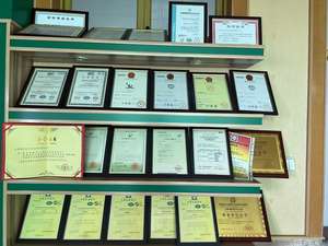 אטמי גרפיט מרוכבים באיכות גבוהה הניתנים להתאמה אישית, טבעות איטום ארוגות מסיבי פוליטרפלואורואתילן PTFE, דגם מותג צ'יאנגלונג - Product Image 4