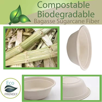 Bols en papier jetables 100 % biodégradables personnalisés pour soupes, compatibles micro-ondes, tailles 12 oz et 16 oz, pour fêtes, usage domestique et contenants alimentaires