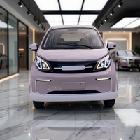 Nouvelle Voiture Électrique Mini 4 Places à Basse Vitesse, EV 5 Portes, Hayon Fermé, Cabine Fermée, Usage Domestique, 4 Roues, Autonomie 101-200km