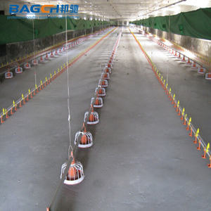 Tam otomatik poltry çiftlik ekipmanları tavuk otomatik besleme sistemi tavuklar için - Product Image 6