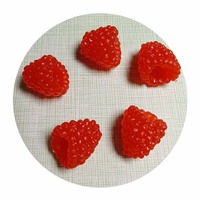 100pcs Simulation Mini Framboise Fruit Maison De Poupée Résine Ornement Meubles Maison Jardin Décor