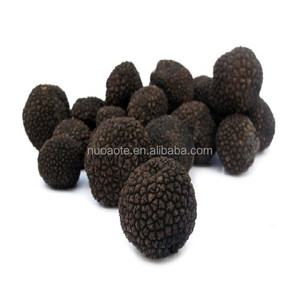 Прямая поставка с завода по производству трюфелей для диких трюфелей