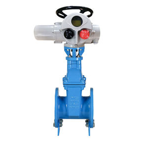 Vanne à opercule motorisée à siège souple EPDM, tige en acier inoxydable, tige montante, DN100 PN10 PN16, fonte ductile, actionneur électrique IP65 - Product Image 1