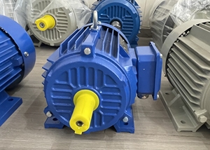 มอเตอร์ Gexin รุ่น YE3/IE3 160L-6 11 กิโลวัตต์ 15 แรงม้า 6 โพล 380 โวลต์ 3 เฟส AC แบบเหนี่ยวนำอะซิงโครนัส มาตรฐานจีน ได้รับการรับรองมาตรฐาน CE - Product Image 5