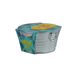 Promotion : Kit de culture miniature 100% biologique USDA d'Aloe Vera, Jardinière mignonne, <span class=keywords><strong>Jardin</strong></span> féerique, Collection de succulentes en aluminium pour la maison et les mariages - Product Image 2