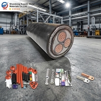 Câble d'alimentation à âme en cuivre 3*50mm² XLPE/PVC/SWA, directement de l'usine, prise en charge de la personnalisation OEM/ODM