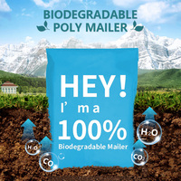 Sacs d'emballage postaux mats en polyéthylène style bureau de poste, en plastique recyclé, biodégradables, personnalisables pour l'envoi postal de chaussettes