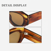 Lunettes de soleil de luxe de haute qualité en gros, lunettes de soleil œil de chat en nylon, lunettes de soleil en acétate 2026 F pour hommes et femmes
