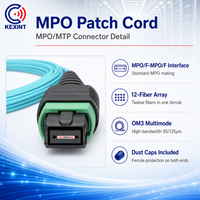 KEXINT MPO/F-MPO/F kualitas tinggi 12 Cores Multimode OM3 tipe B disesuaikan 1M 10M 20M kabel Patch MPO serat optik MTP