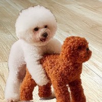 Jouet pour chien réaliste, écologique, moderne, luxueux, en peluche douce, en silicone, interactif, lavable, durable, sûr, anti-stress, vibrant