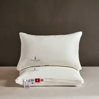 Oreiller de massage en duvet blanc et plumes d'oie, certifié ISO9001, le plus populaire, avec support personnalisé en coton et garnissage doux