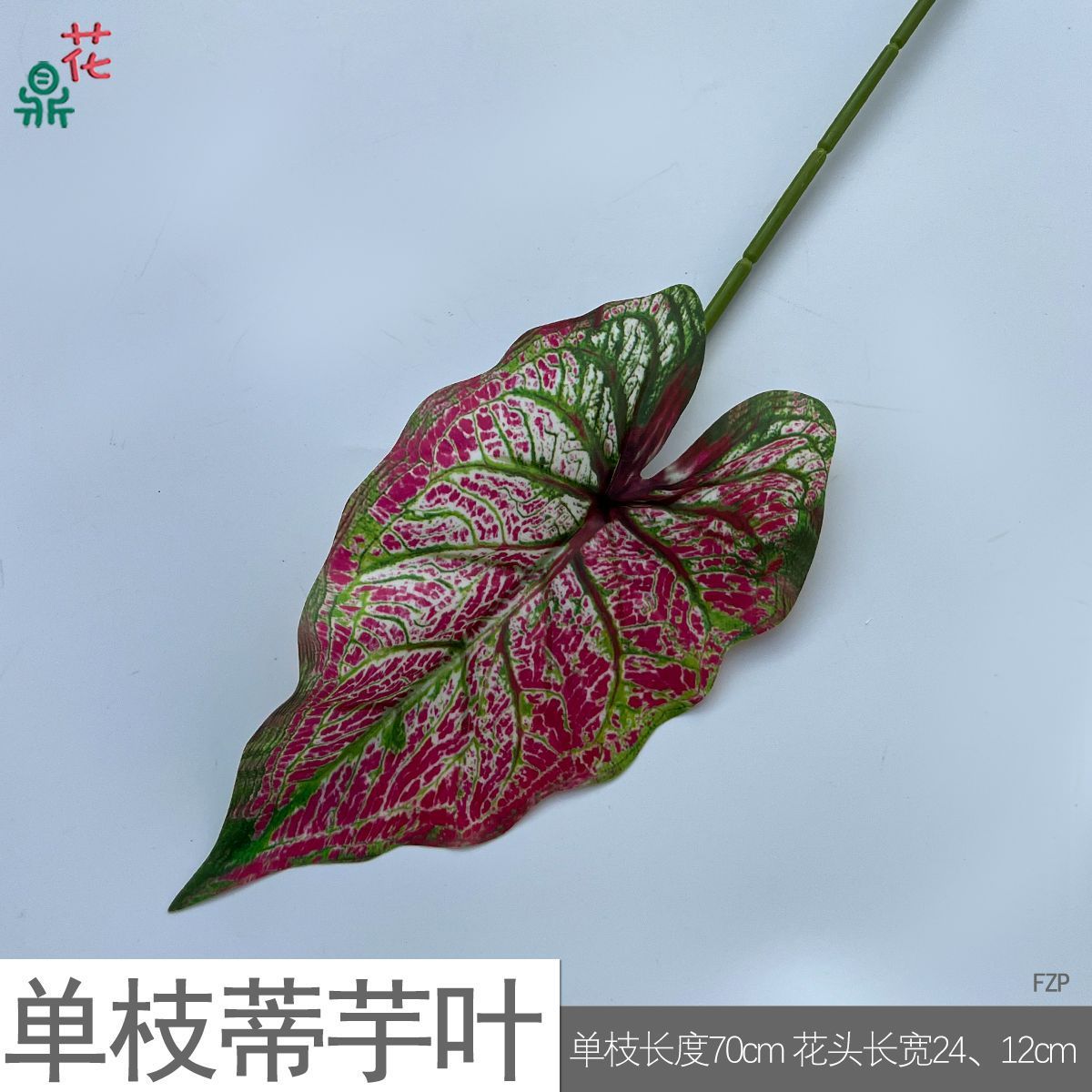 Feuilles de taro à tige unique FZP rose rouge et vert