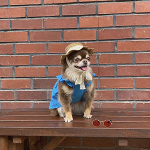 Chapéu à prova de sol para cachorro, mini chapéu de sol - Product Image 4