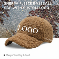 Gorra de Béisbol de Felpa de Alta Calidad, Deportiva, Ajustable, con Patrón de Frutas, Bordado a Mano, Logotipo Personalizado, Unisex