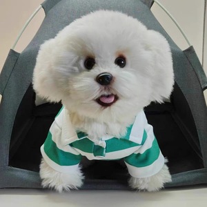 Summer Striped Polo Shirt <b>For</b> <b>Small</b> <b>Dogs</b> Lightweight Pet <b>Clothes</b> Red Green Blue Pink Stripes T-Shirt <b>For</b> Puppies - Product Image 2