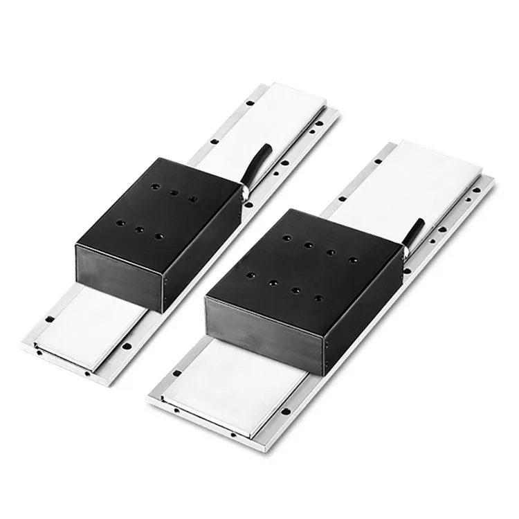 Linear Guide Rail With Motor and Ball Screw 250MM 220V AC 5MM/S 1200N Linear Motor