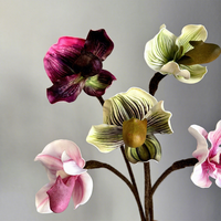 Model Penjualan Bunga Piphidium Paphiopedilum Berkualitas Tinggi Desain Floral untuk Ruangan Dekorasi Rumah Anggrek