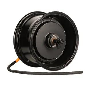 Oem/Odm 14Inch Super Wide Tire Motor 48-96V 2000-12000W Electric Motorcycle Hub Motor Wheel Hub Motor Price Discount