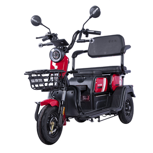 Tricycle électrique pour adultes FGQ à carrosserie ouverte avec moteur 60V certifié EEC, capacité <span class=keywords><strong>de</strong></span> charge <span class=keywords><strong>de</strong></span> 200-300 kg - Product Image 1