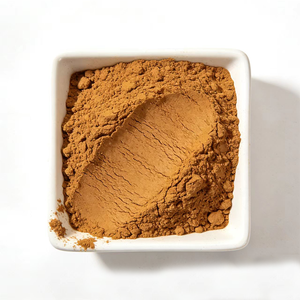 Poudre d'extrait d'<span class=keywords><strong>Ashitaba</strong></span> 10:1 Angelica Keiskei pure et naturelle, prix de gros - Product Image 2