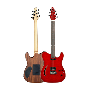 <span class=keywords><strong>Guitare</strong></span> électrique semi-hollow WaveGarden E20TL - Prise en charge OEM/ODM - Product Image 4