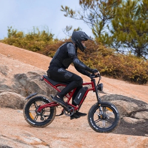 Vélo Électrique 20 Pouces avec Batterie au Lithium Amovible 48V, 500W, 7 Vitesses, Vélo à Assistance Électrique 750W, Modèle UE216, Pneus Larges, Vélo de Montagne - Offre Spéciale - Product Image 3