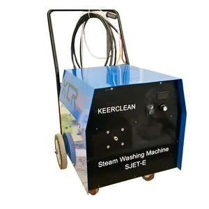 Electric steam cleaning machine in car washer