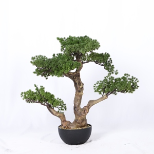 Recién llegado, decoración del hogar, pino en maceta, árbol pequeño Artificial, plantas artificiales de plástico, planta de bonsái de pino verde - Product Image 2