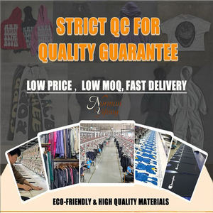 T-shirts Streetwear Personnalisés Imprimés DTG, Coupe Boxy Oversize, 100% Coton 300 g/m², Effet Délavé Acide, Motifs Manga - Product Image 5