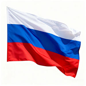 بيع بالجملة: * 90 علم مصري ، أعلام مخصصة من مختلف البلدان ، أعلام ترويجية للشركة ، أعلام حدث رياضي - Product Image 5