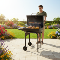 Barbecue moderne en acier inoxydable, pliable, réglable, empilable, double face, avec allumage piézoélectrique, chariot, pour 5+ personnes, extérieur