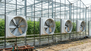 Ventilador Industrial Eléctrico con Carcasa de Fibra de Vidrio, Diámetro de Aspas de 48'', Protección IP55, Ventilador de Extracción para Invernadero, para Refrigeración - Product Image 2