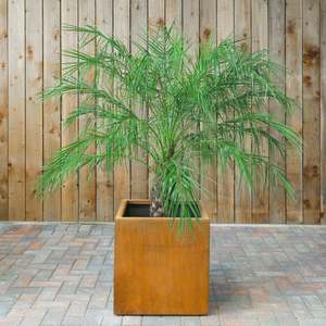 Bac à jardinage en <span class=keywords><strong>acier</strong></span>, rangement pour plantes, pot de fleurs, plante en extérieur, pour jardin, une variété de couleurs, saison 2019 - Product Image 3