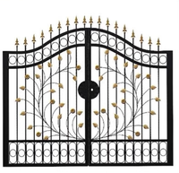 Porte battante extérieure au design minimaliste français, avec gravure ajourée, fonctionnement automatisé, en fer forgé, anti-corrosion, durable et personnalisable
