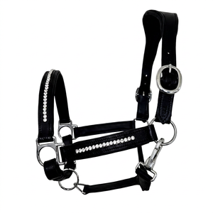 Cabestro de cuero de alta calidad para entrenamiento ecuestre de Divine International - Product Image 1