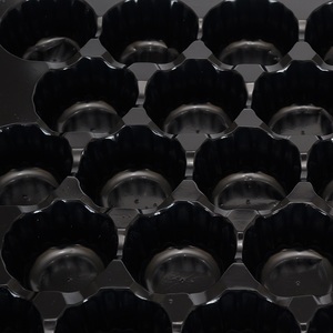 Dùng Một Lần PET/PP/PVC Nhiệt Hình Thành Chèn Khay Trái Cây Khay - Product Image 5