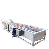 Commerciële fruit-, groente- en schuimwasmachine, industriële bananen- en kleine groentewasmachine, kleine commerciële fruitwasmachine