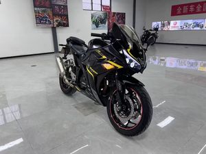Le moteur Little Ninja 400cc présente un design classique et des performances puissantes, il convient au trajet quotidien et aux courses sur circuit. - Product Image 2