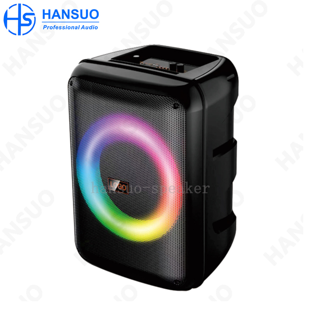 Top Sales 8 Inch USB RGB LED Outdoor Portable Battery Powered Hifi Amplifier Speaker with 30-50W Output