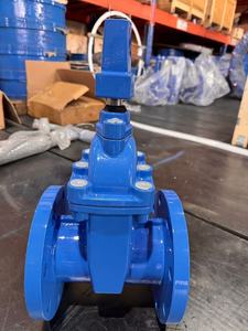 <span class=keywords><strong>Vanne</strong></span> à opercule assise résiliente AWWA C515 NRS avec commande par clé en T - Product Image 3