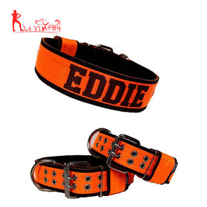 Set Collare e Guinzaglio per Cani in Nylon con Fibbia <span class=keywords><strong>a</strong></span> Sgancio Rapido Regolabile, Colori Classici Solidi - Product Image 2