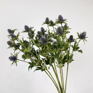 Chardon artificiel Spray Real Touch <span class=keywords><strong>Eryngium</strong></span> <span class=keywords><strong>Foetidum</strong></span> Simulation Houx de mer pour Bouquet de mariage Pièce maîtresse Décoration de la maison - Product Image 1