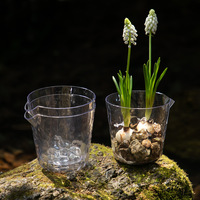 Pot de fleurs auto-arrosant transparent à motif glacier, sans arrosage requis, pour narcisses