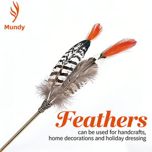 Plumes de poulet sauvage naturelles en gros, plumes de coq dorées, plumes de coq rouges, plumes de coq cuivrées, plumes à pointe rouge, ornements et décorations faits à la main - Product Image 6
