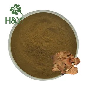 High Quality Factory Supplier Rhizoma Cibotii Extract Powder Rhizoma Cibotii Powder