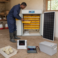 Incubateur d'œufs solaire commercial 1056 œufs, couveuse automatique pour distributeurs de volailles